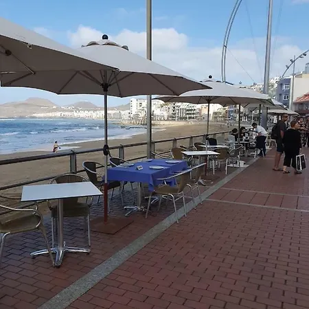 Cactus Host 호스텔