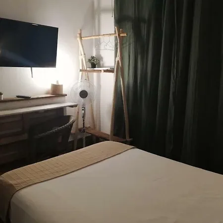 אכסניה Cactus Host *