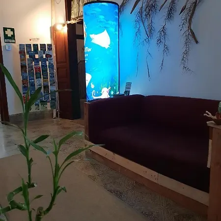 אכסניה Cactus Host *