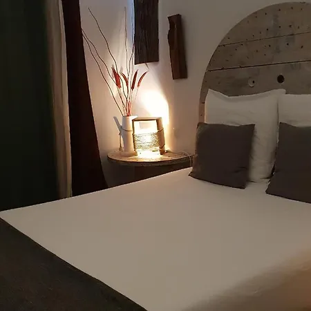Cactus Host לאס פאלמס דה גראן קנאריה