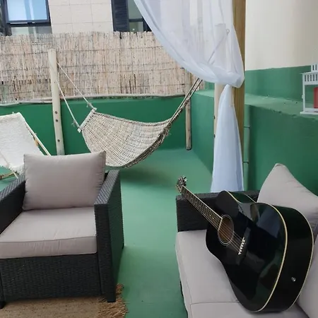 אכסניה Cactus Host *