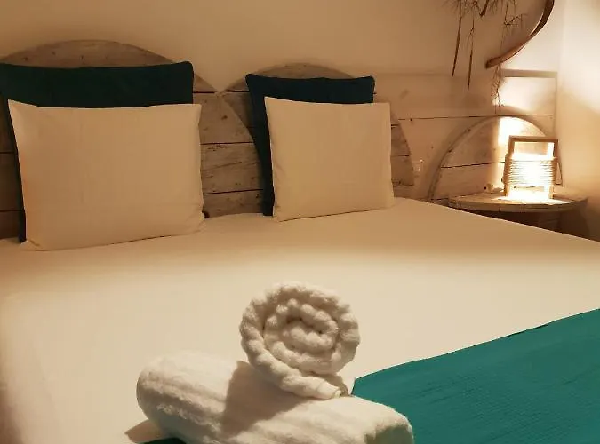 بيت شباب Cactus Host *