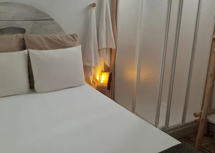 Cactus Host بيت شباب *