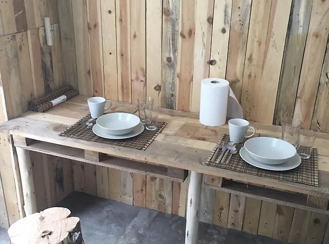 Cactus Host بيت شباب *