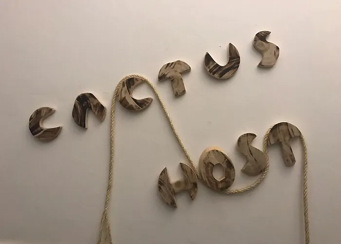 Cactus Host لاس بالماس دي غران كاناريا