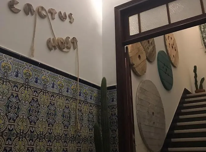 Cactus Host بيت شباب *