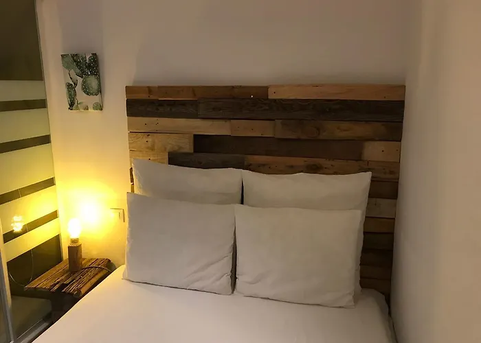 Cactus Host * لاس بالماس دي غران كاناريا