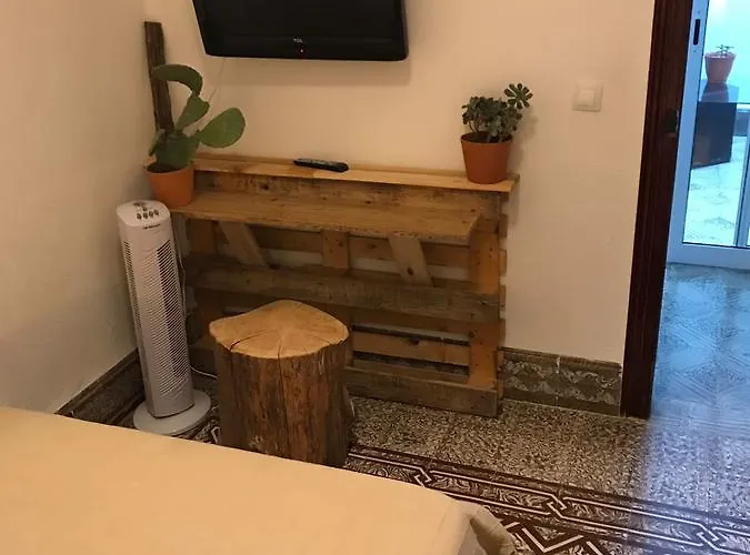 بيت شباب Cactus Host *