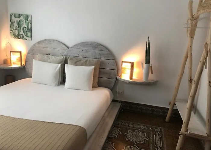 بيت شباب Cactus Host *