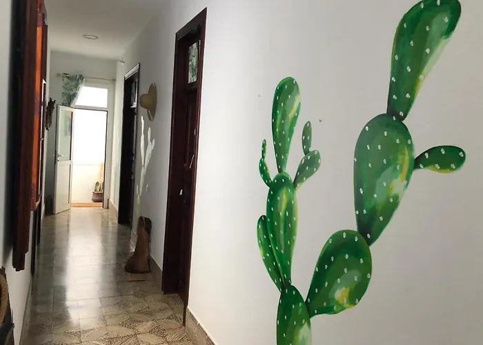 بيت شباب Cactus Host *