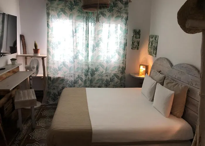 Cactus Host لاس بالماس دي غران كاناريا