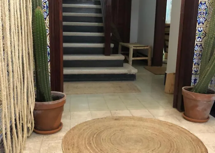 بيت شباب Cactus Host لاس بالماس دي غران كاناريا