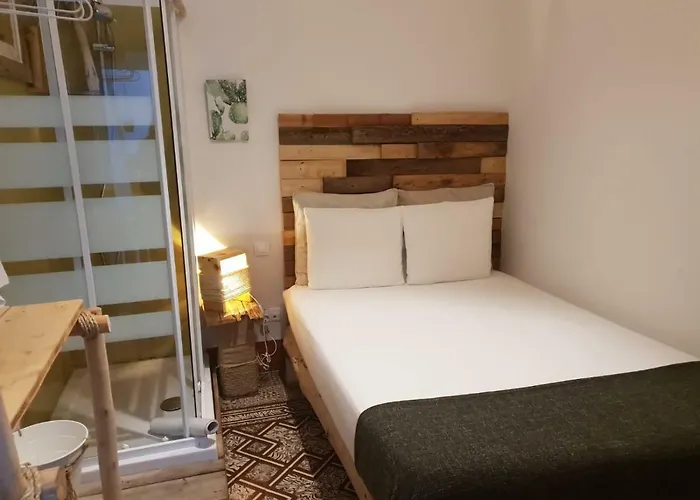 Hostel Cactus Host *