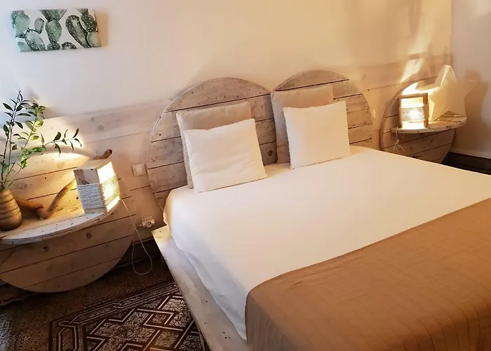 Cactus Host بيت شباب