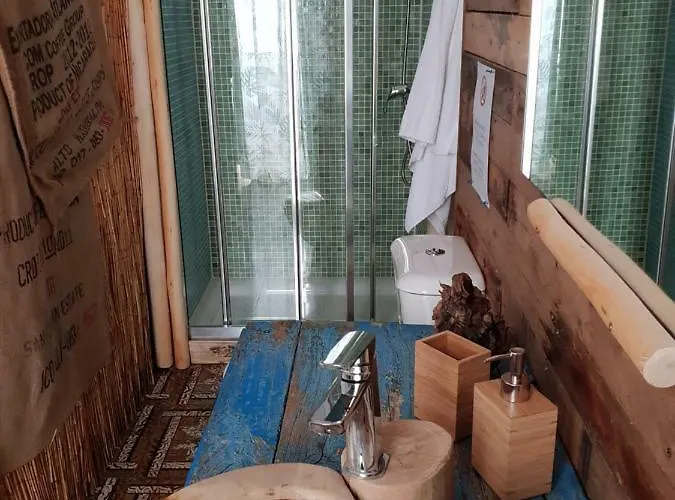 Cactus Host بيت شباب