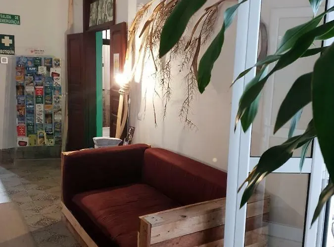 Hostel Cactus Host Las Palmas de Gran Canaria
