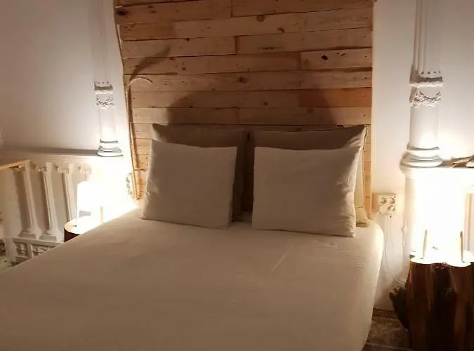 بيت شباب Cactus Host