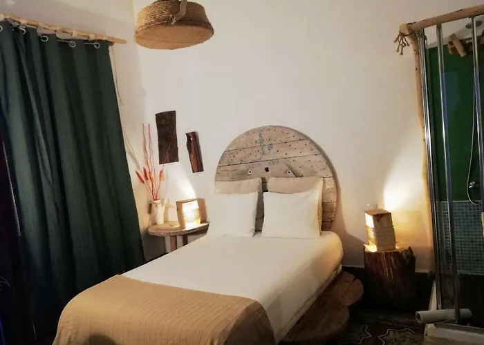 بيت شباب Cactus Host