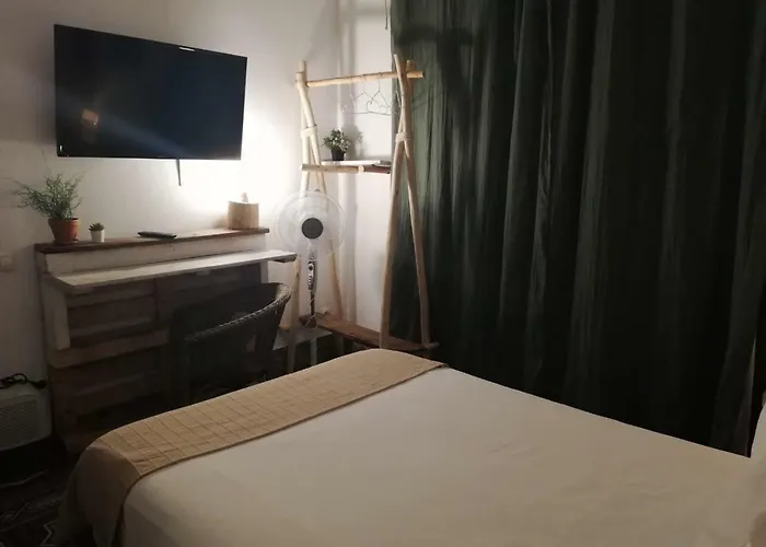 بيت شباب Cactus Host *