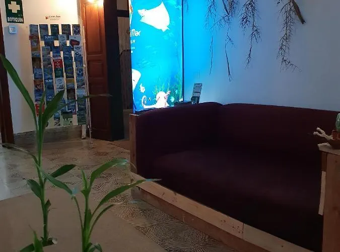 بيت شباب Cactus Host *