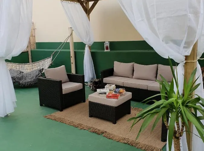 Cactus Host لاس بالماس دي غران كاناريا