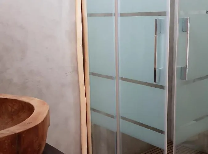 Cactus Host * لاس بالماس دي غران كاناريا