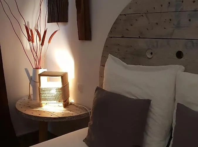 بيت شباب Cactus Host *