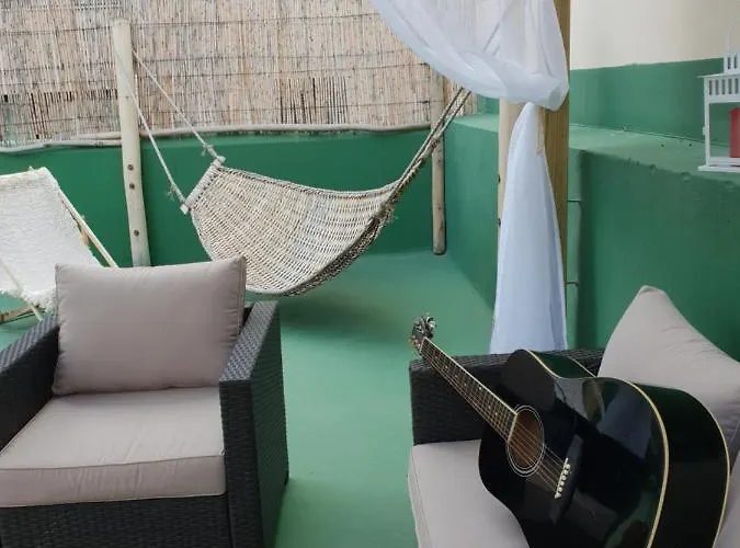 بيت شباب Cactus Host *