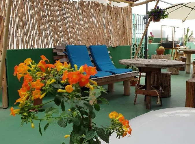 Hostel Cactus Host *