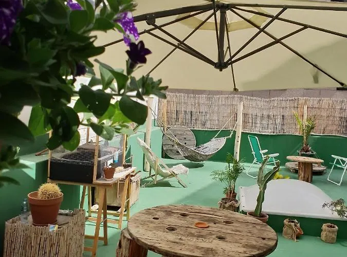 Cactus Host بيت شباب *