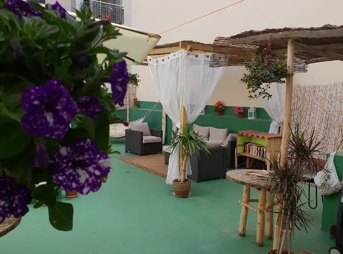 بيت شباب Cactus Host