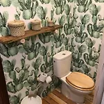 Cactus Host بيت شباب *