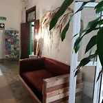 Хостел Cactus Host Лас-Пальмас-де-Гран-Канария