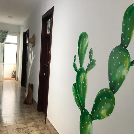 Hostel Cactus Host *