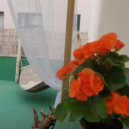 Hostel Cactus Host *