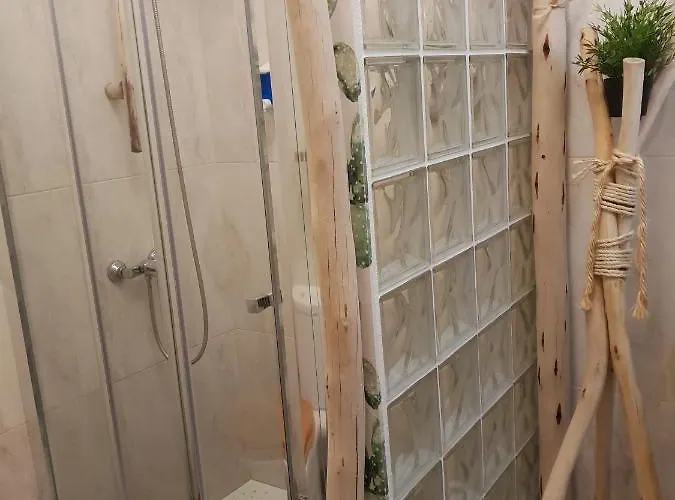 Cactus Host Хостел