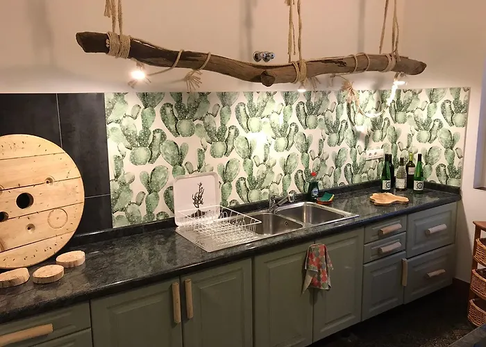 Хостел Cactus Host