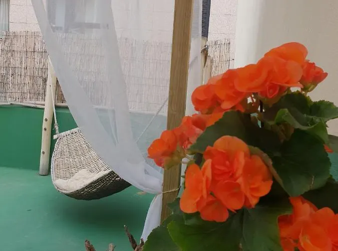 Хостел Cactus Host *