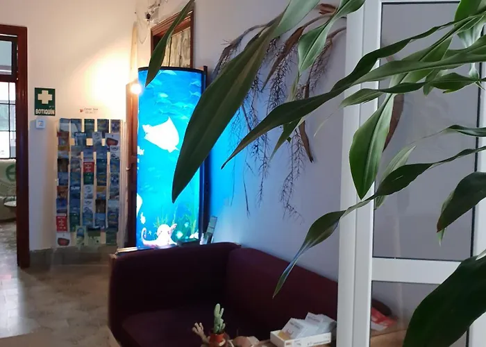 Хостел Cactus Host Лас-Пальмас-де-Гран-Канария