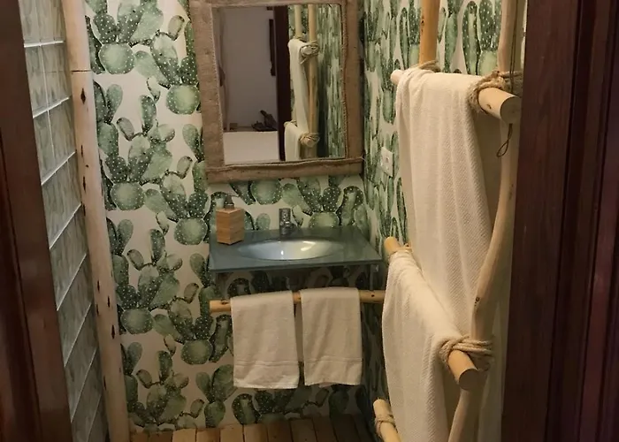 Хостел Cactus Host Лас-Пальмас-де-Гран-Канария